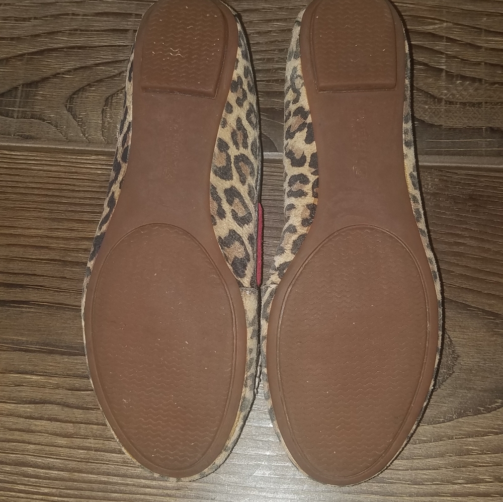 Sperry Flats - Picture 3 of 6